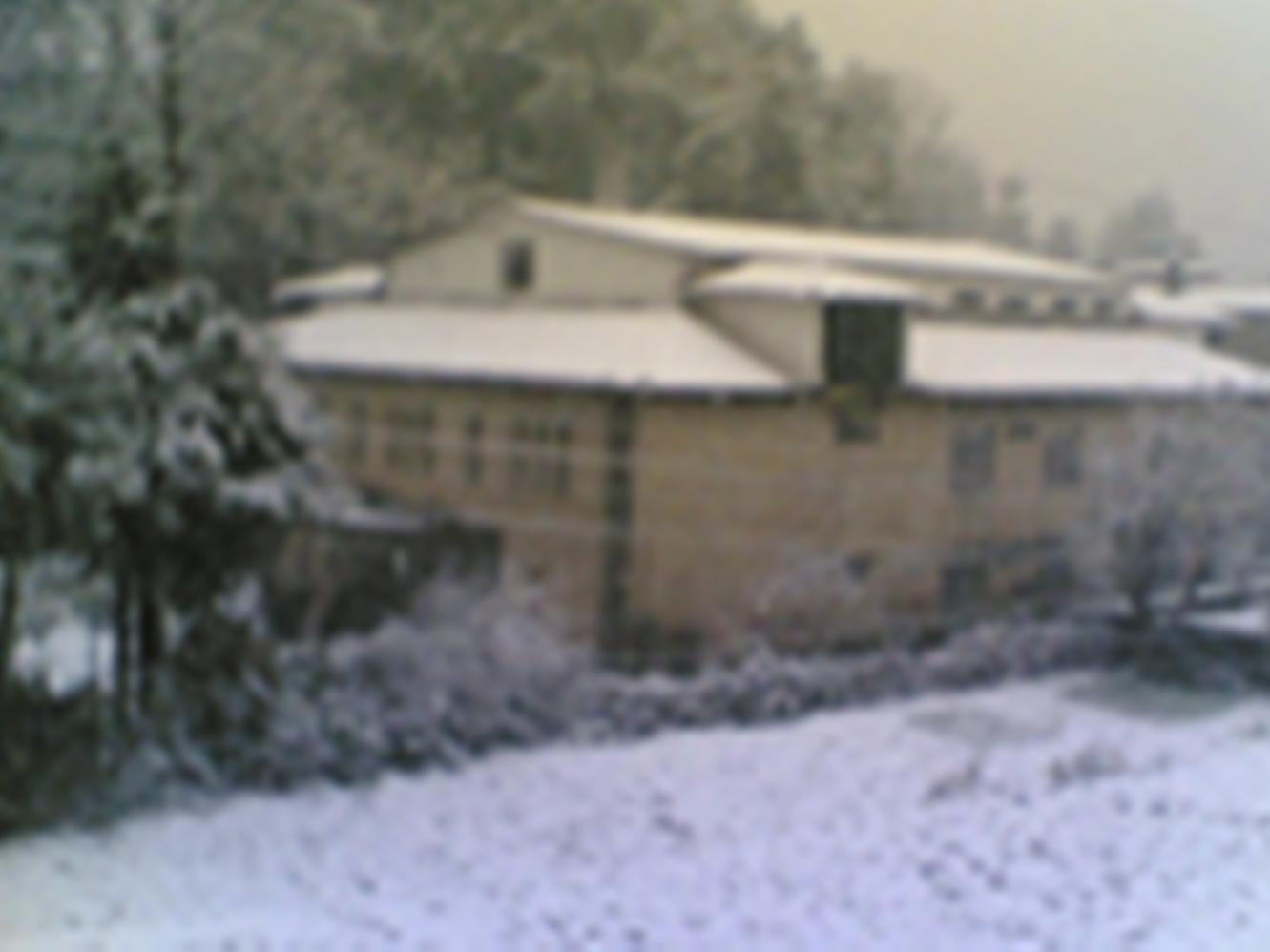 Langdale Manor Hotell Nainital Eksteriør bilde